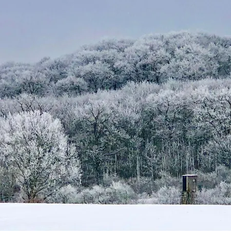 Διαμέρισμα Melzower Waldhaus Montagewohnung