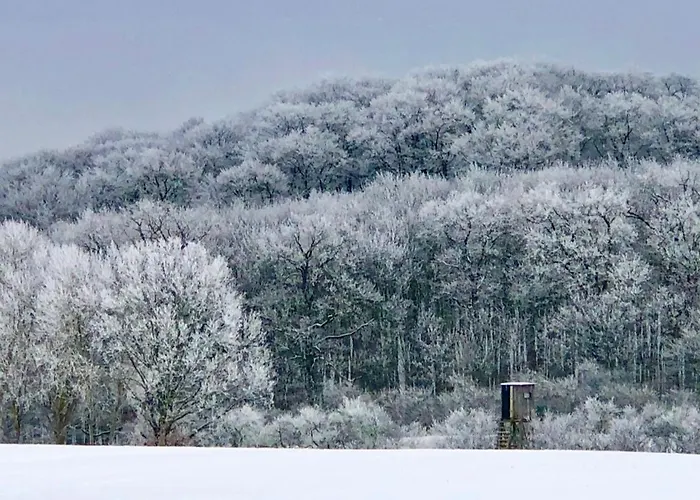 Appartement Melzower Waldhaus Montagewohnung